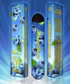 Gold Coast Clear Beyond Blueberry