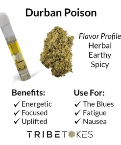 Durban Poison Strain