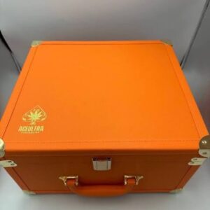 Ace Ultra 2G Disposable Spring Edition (25 Pcs Variety Master Box)