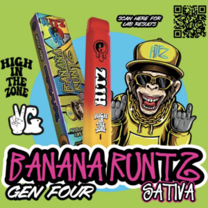 Hitz Gen 4 Disposable