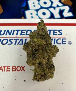 Better Call Caul Strain