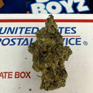 Better Call Caul Strain