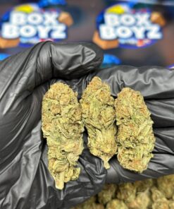 Gogurt Cannabis Strain