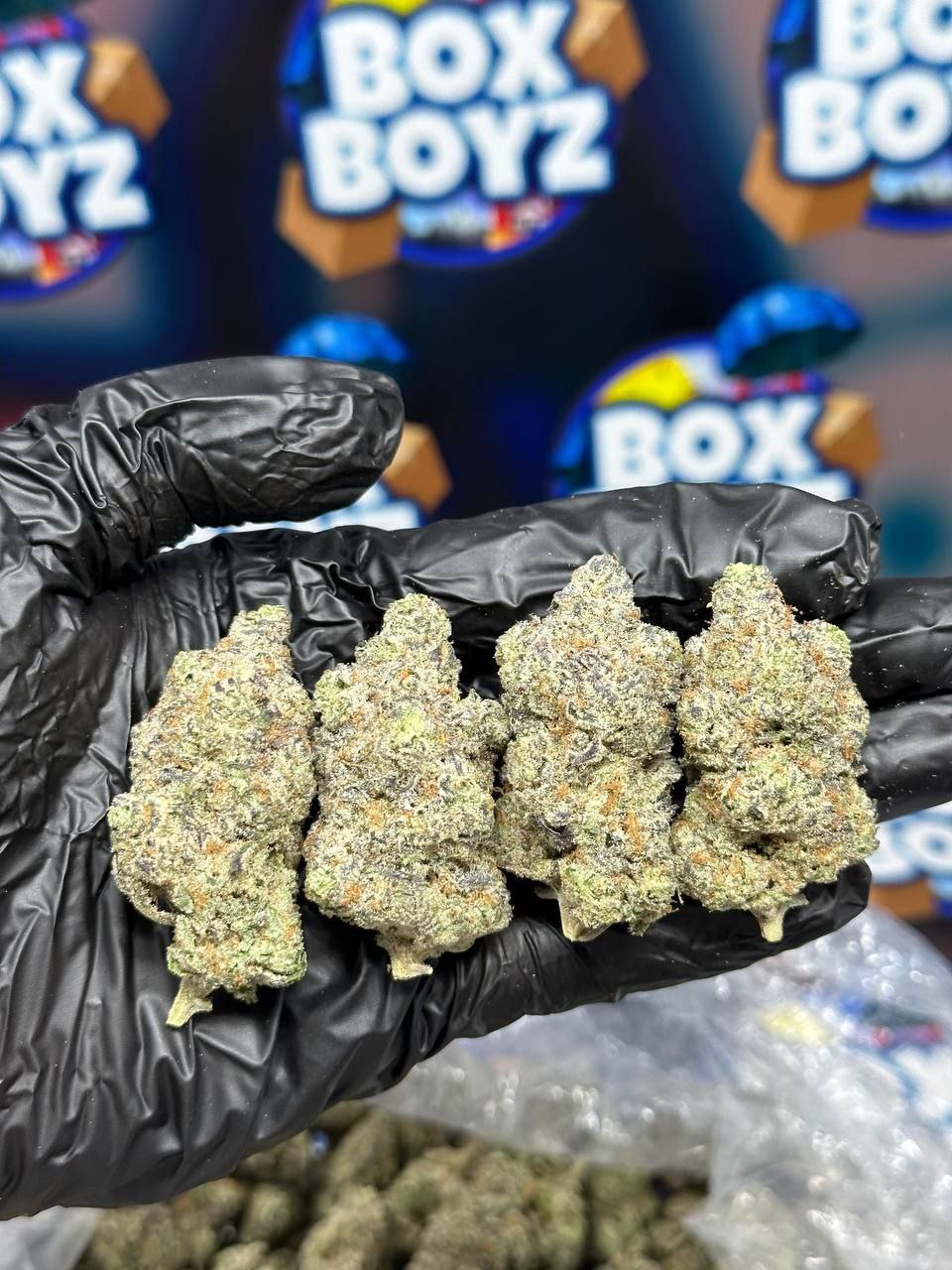 White Cherry Gumbo strain