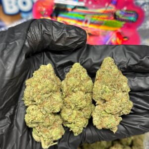 Pornstar Martini Strain