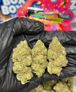 Pornstar Martini Strain